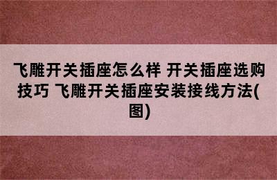 飞雕开关插座怎么样 开关插座选购技巧 飞雕开关插座安装接线方法(图)